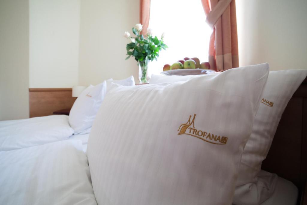 Trofana Wellness & Spa ミエンジズドロイェ エクステリア 写真